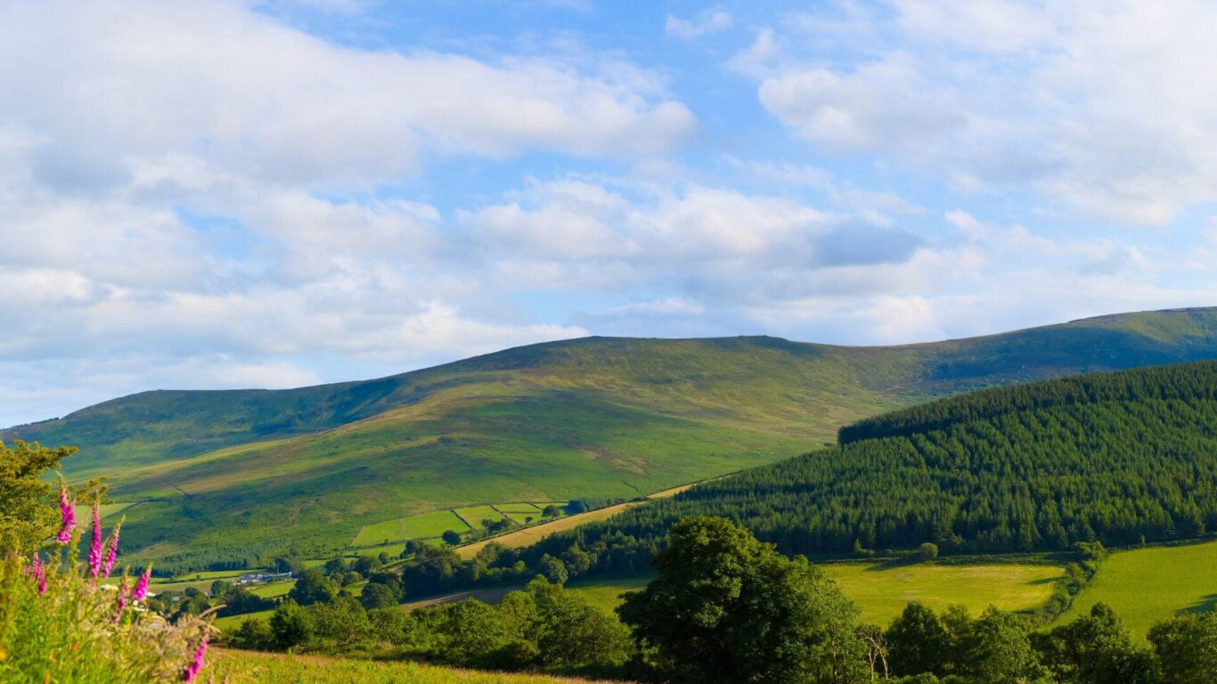 Blackstairs Mountain Shutterstock Image