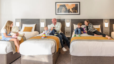 Large-Family-Room-Newtown-Park