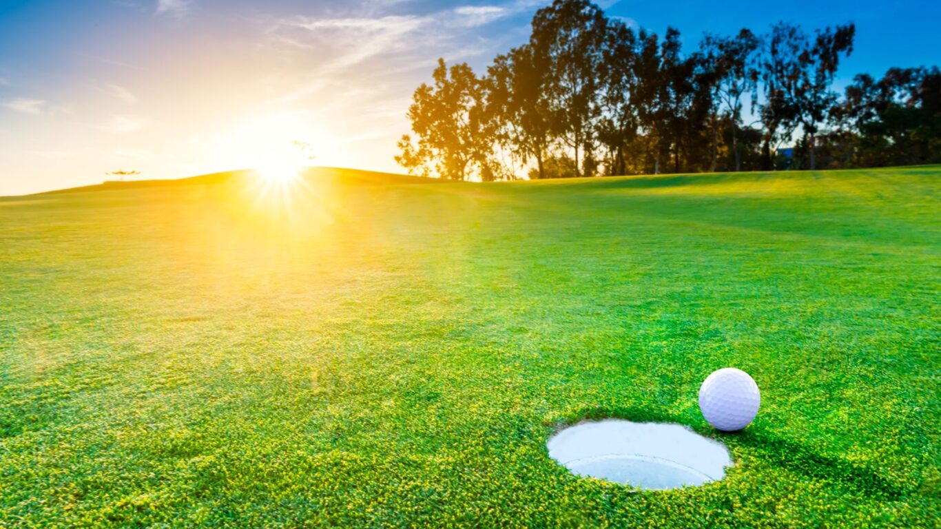 Golfing Stock Newtown