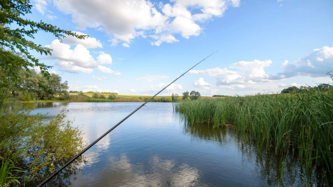Loch Mahon Fishing Lake NTPH