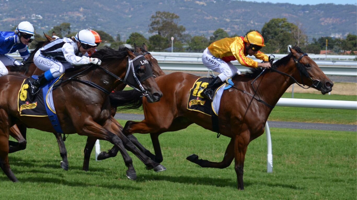 horse racing