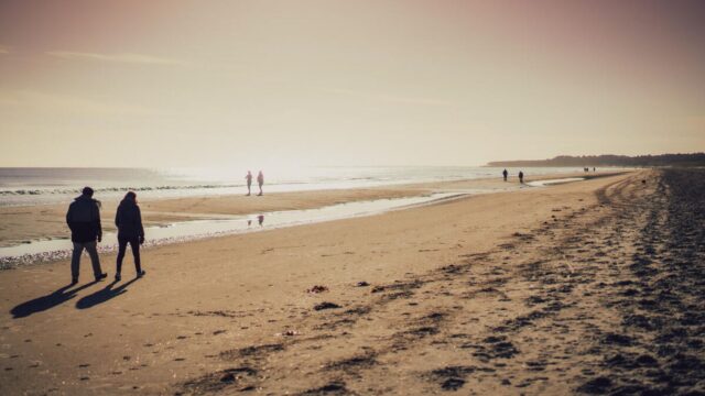 Curracloe Beach Walkers ICP