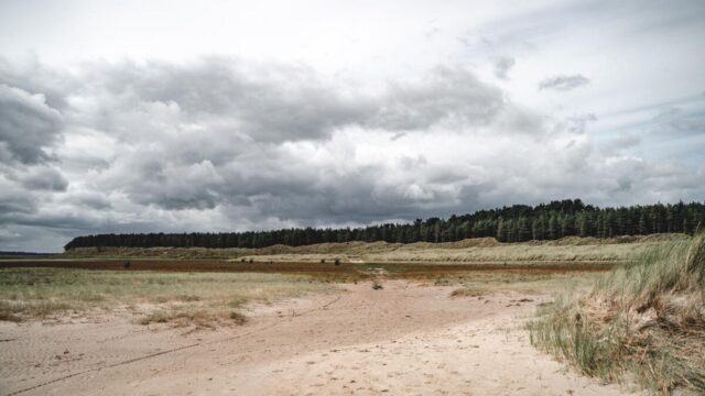 Raven Nature Reserve