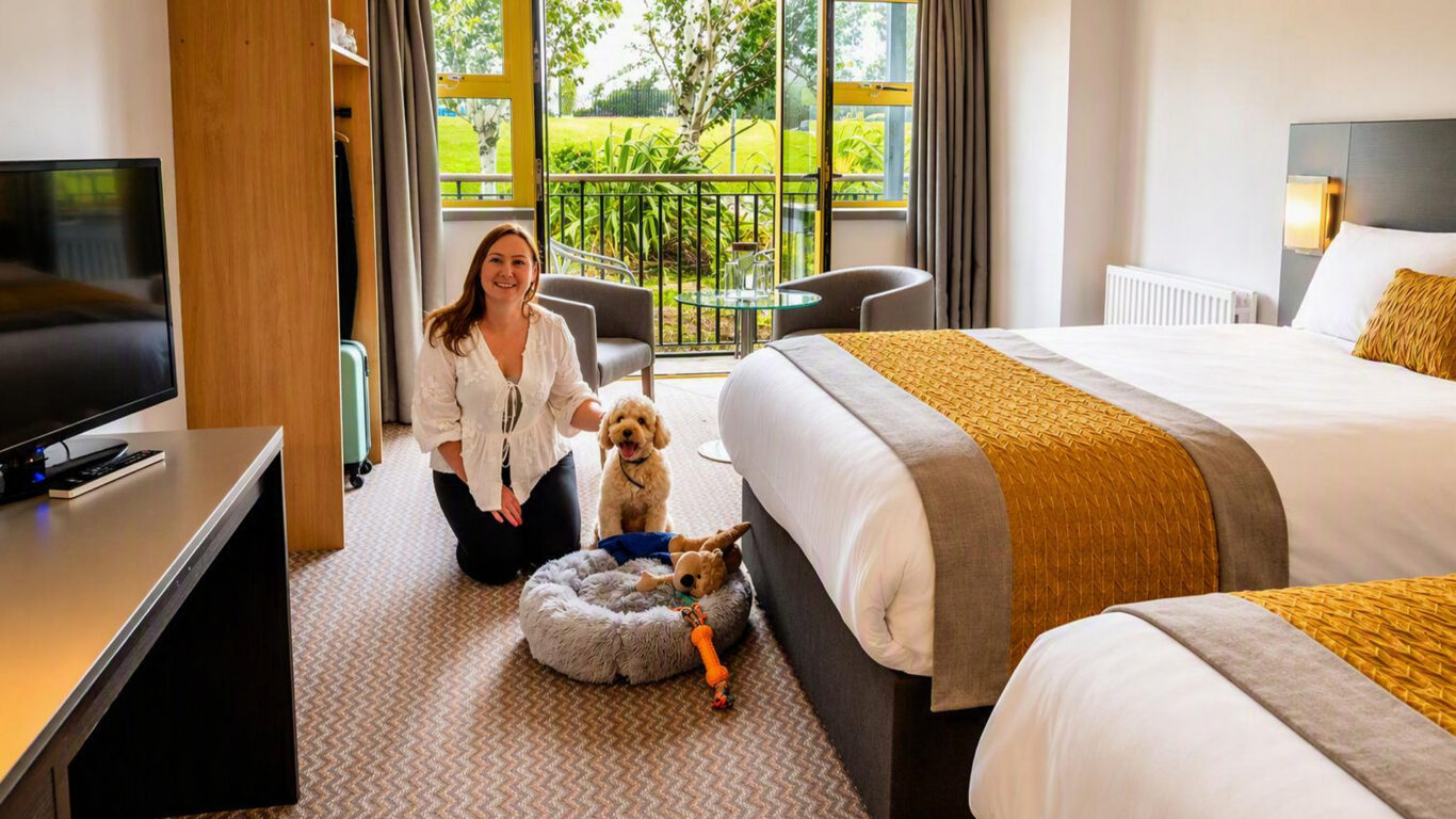 dog-friendly-rooms-04